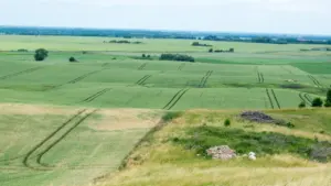 Didelis atviras laukas, tinkamas saulės elektrinių parkų plėtrai Kaišiadorių rajone.