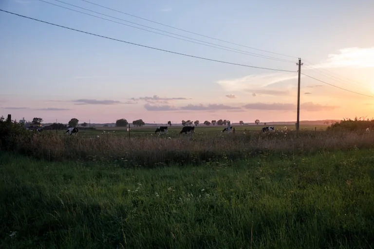 Kaišiadorių rajone pradėjo veikti 50 MW saulės parkas