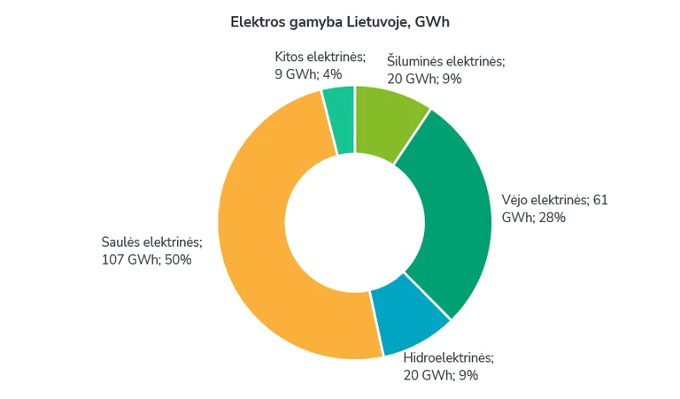 Vėjas pakeitė elektros kainą Lietuvoje: ji šoktelėjo 17 proc.