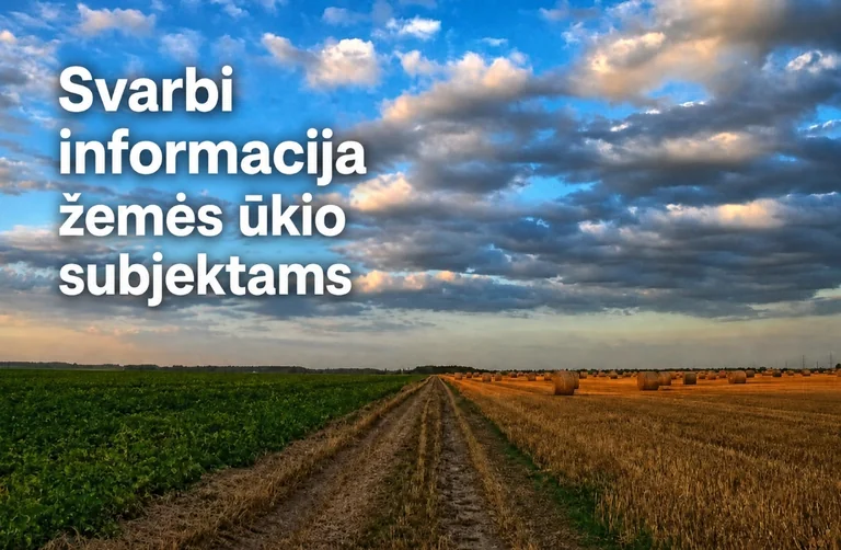 Dėl audros padarinių paskelbta valstybės lygio ekstremalioji situacija