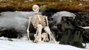 Skeletas sėdintis ant sniego su kuprine primena apie rimtų traumų pavojų kelio sąnariams.