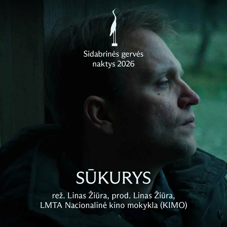 Mažeikiuose – nemokami lietuviško kino vakarai po atviru dangumi