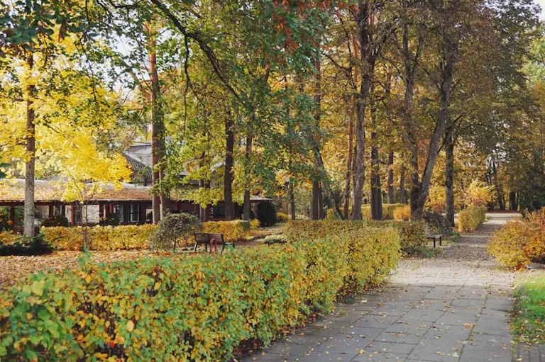 Metro Vilniuje: nemokama diskusija Bernardinų sode