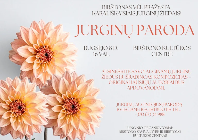 Rugsėjo 8-ąją Birštone: karališkųjų jurginų paroda