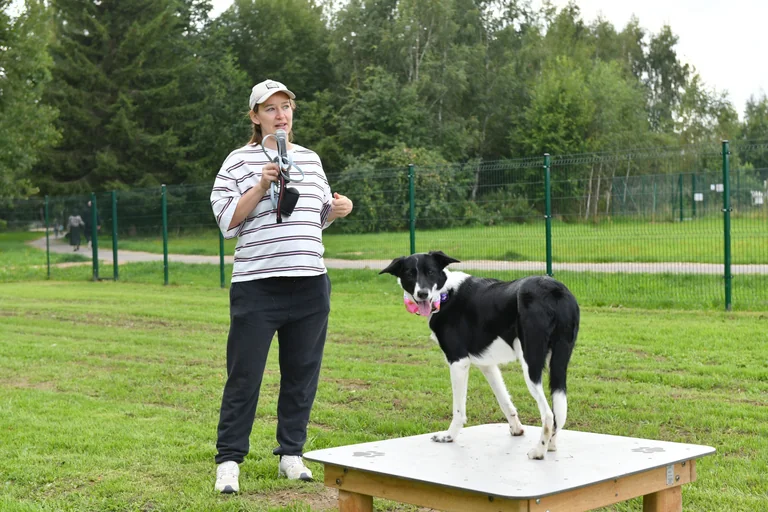 Šalčininkų šunų augintojams atsiveria daugiau galimybių