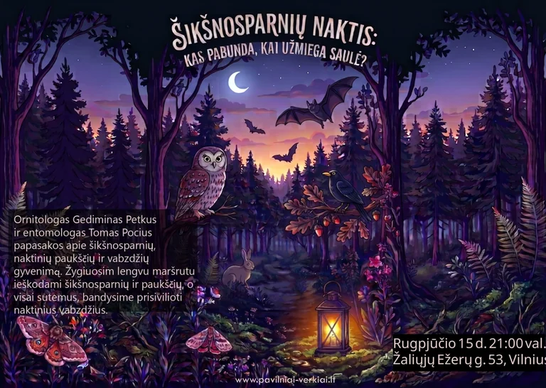 Šikšnosparnių naktis Vilniuje – rugpjūčio 15-ąją