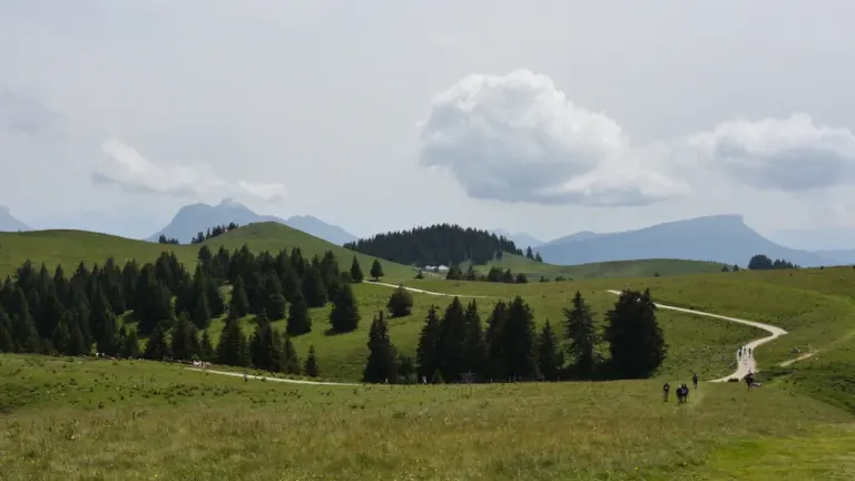 Vaizdingas pėsčiųjų takas per žaliuojančias kalvas, kviečiantis leistis į žygį Pavandenėje.