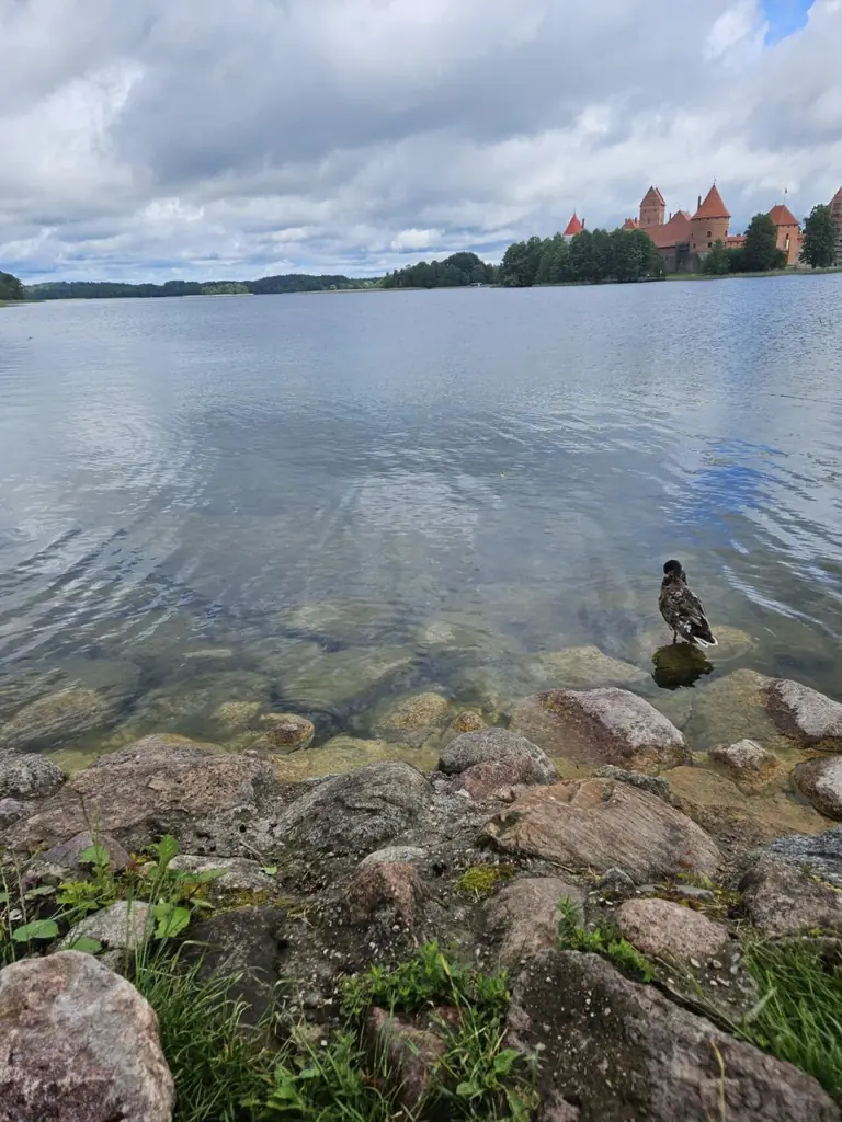 Trakų rajono ežeruose – saugus maudymosi sezonas: naujausi tyrimai