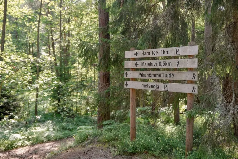 Žygis „Vertybių keliu‘26“: 13 km maršrutas Pavandenės apylinkėse