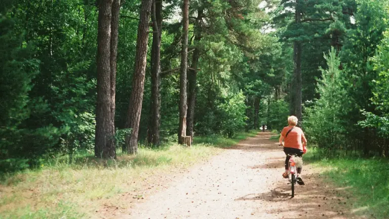 Dviratininkas važiuoja miško taku vaizdingame Birštono regiono kraštovaizdyje rudens metu