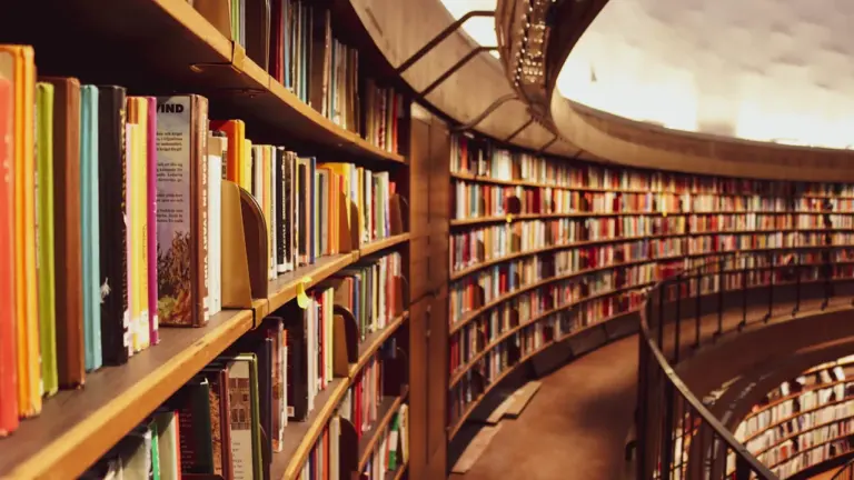 Didelė, pusapvalė bibliotekos knygų lentyna kviečia į diskusiją apie lietuvių kalbą.
