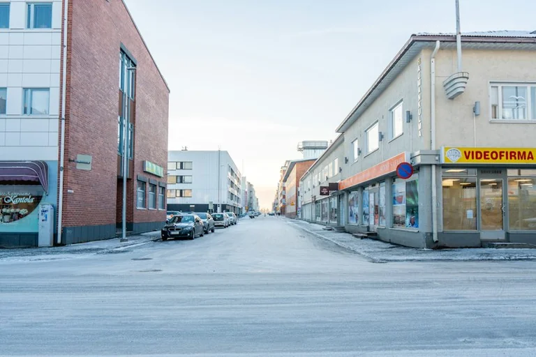 Nausėda Suomijoje aptars Arktį ir gynybos bendradarbiavimą
