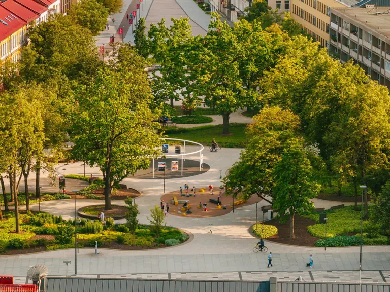 Panevėžys prisijaukina lėtumu: 50 miesto ženklų