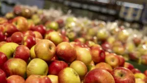 Rudens vaisiai ne tik pyragams: 10 pikantiškų derinių