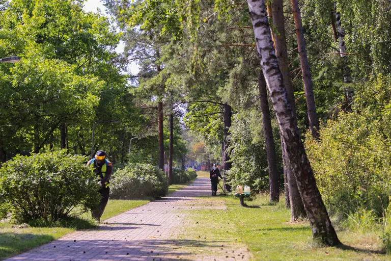 Visagino vairuotojams – parkavimo tvarka šienavimo dienomis