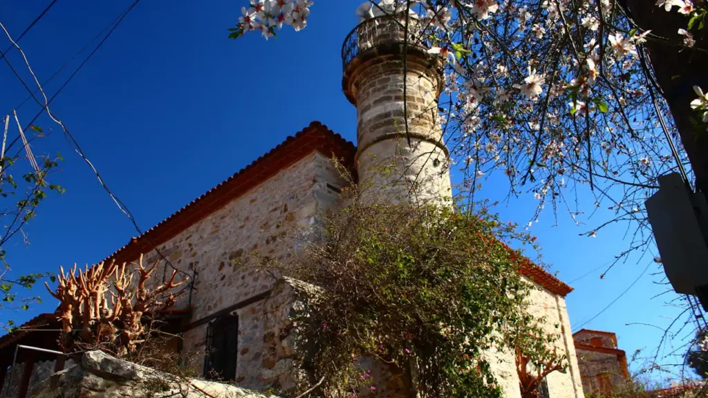 Istorinis minaretas Kėdainių parke, apsuptas pavasarinės žalumos ir žydinčių medžių šakų.